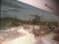 IMG3570_Zn.jpg