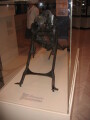 IMG3575_Zn.jpg