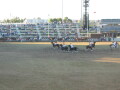 img3752_Zn.jpg