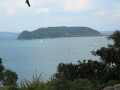 IMG3898_Zn.jpg