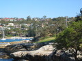 img4007_Zn.jpg