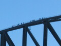 img4036_Zn.jpg