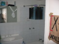 img4153_Zn.jpg