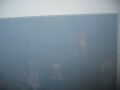 img4206_Zn.jpg