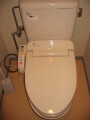 img4304_Zn.jpg