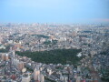 img4313_Zn.jpg