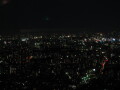 img4324_Zn.jpg