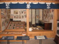 img4348_Zn.jpg