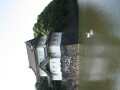 img4368_Zn.jpg