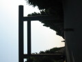img4384_Zn.jpg