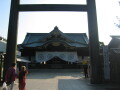 img4385_Zn.jpg