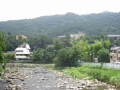 img6087_Zn.jpg