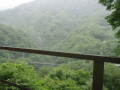 img6097_Zn.jpg