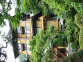 img6101_Zn.jpg