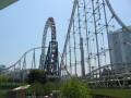 img4481_Zn.jpg