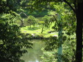 img4489_Zn.jpg