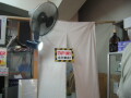 img4501_Zn.jpg