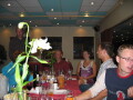 IMG6397_Zn.jpg