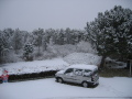IMG7134_Zn.jpg