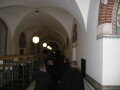 IMG7237_Zn.jpg