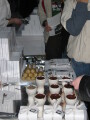 IMG7289_Zn.jpg