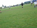 IMG7771_Zn.jpg