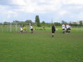 IMG7772_Zn.jpg
