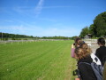 IMG7828_Zn.jpg