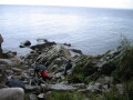 IMG8249_Zn.jpg