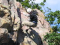 IMG8262_Zn.jpg