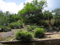 IMG8824resize_Vye.jpg