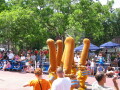 IMG8835resize_Vye.jpg
