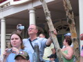 IMG8840resize_Vye.jpg