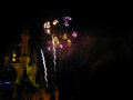 IMG8886resize_Vye.jpg