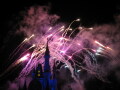 IMG8895resize_Vye.jpg