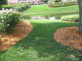 IMG2067resize_Vye.jpg