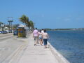 IMG2106_Zn.jpg