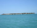 IMG8976_Zn.jpg