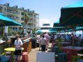 IMG8978_Zn.jpg