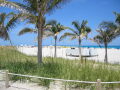 IMG9049_Zn.jpg