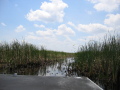 IMG9105_Zn.jpg