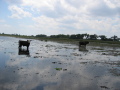 IMG9113_Zn.jpg