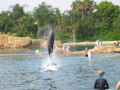 IMG9189_Zn.jpg
