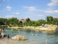 IMG9206_Zn.jpg