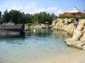 IMG9221_Zn.jpg