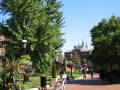 IMG0044_Zn.jpg