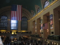 IMG0167_Zn.jpg