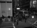 IMG0325_Zn.jpg