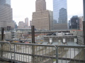 IMG0343_Zn.jpg