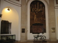 IMG0347_Zn.jpg